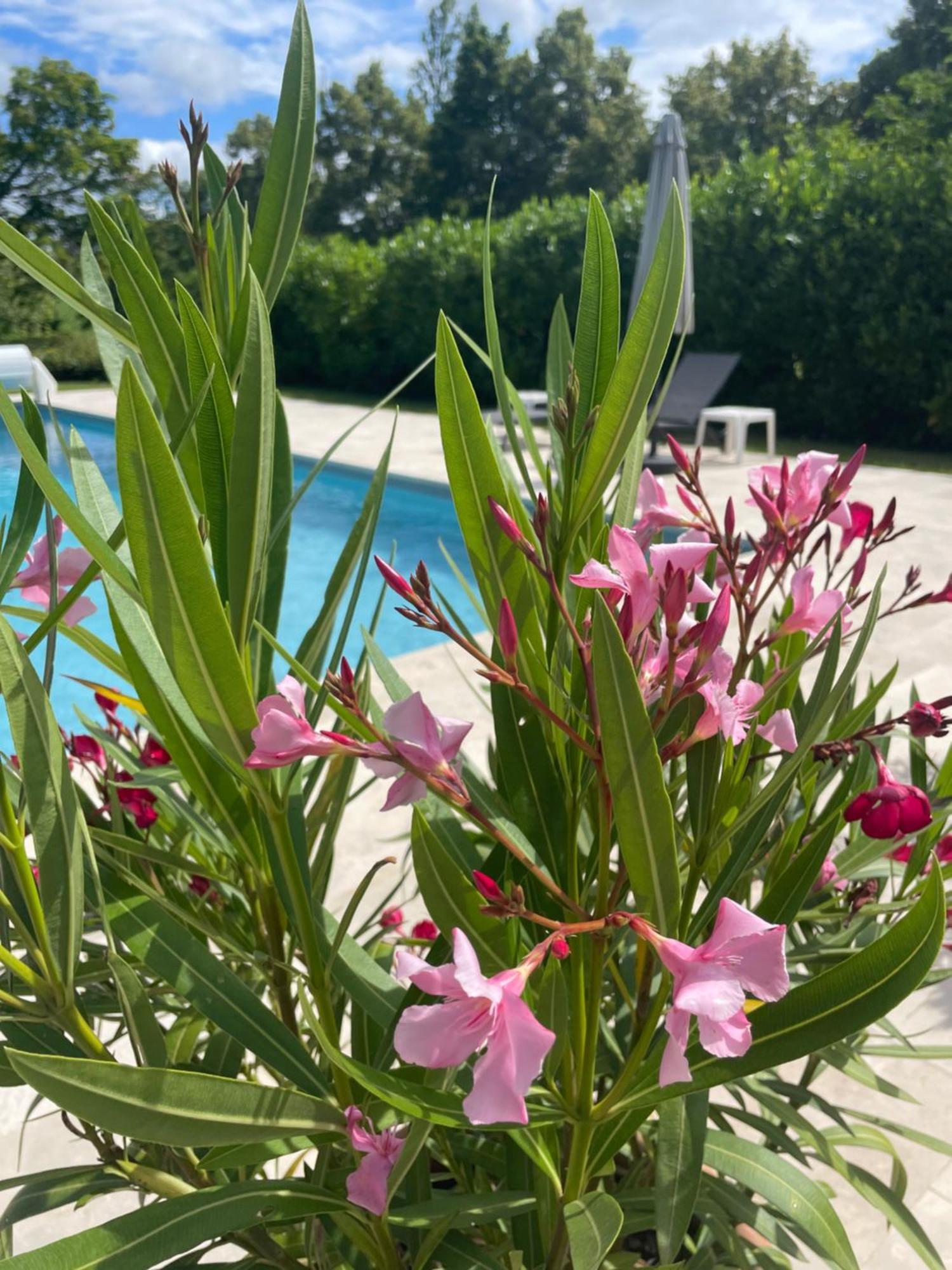 La Grange Du Barry Bed & Breakfast Belveze Bagian luar foto